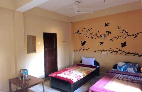 Sauraha Bed & Breakfast | Top-Rated Nikunj Safari Guest House in Sauraha