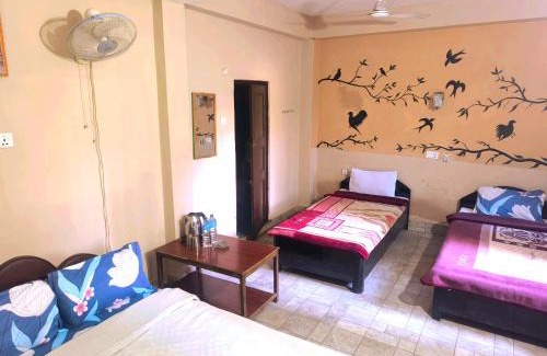 Sauraha Bed & Breakfast | Top-Rated Nikunj Safari Guest House in Sauraha