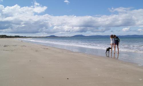 Dolphin Sands House | Discover Nine Mile Escape: Pet-Friendly Oceanfront Retreat