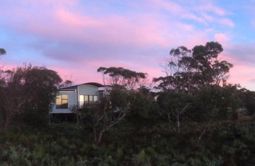 Dolphin Sands House | Discover Nine Mile Escape: Pet-Friendly Oceanfront Retreat