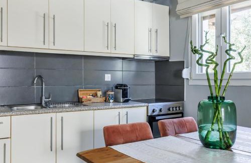 Skopelos Apartment | Guest Rated: Ninemia Apartment with Pet-Friendly Amenities