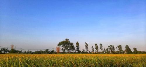 Yen Khanh House | Ninh Binh Riverside Family Homestay
