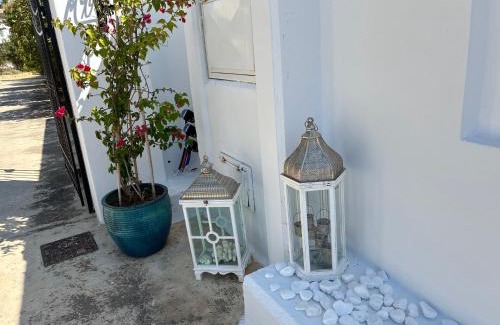 Lipsoi Villa | Discover Niriedes Villas: Pet-Friendly Oceanfront Retreat