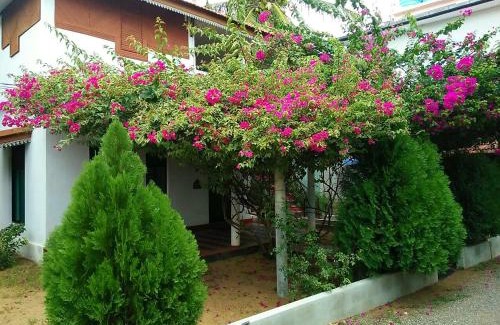 Kalkudah Resort | Oceanfront Nirmaa Shadow Inn: Family-Friendly Retreat