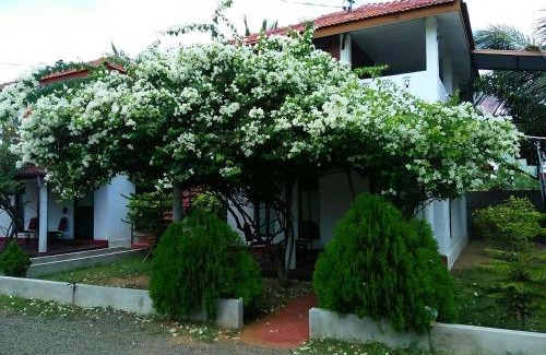 Kalkudah Resort | Oceanfront Nirmaa Shadow Inn: Family-Friendly Retreat