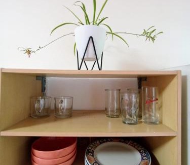 Cacique Apartment | Pet-Friendly Nirvana Apartament Hostal with Ocean View