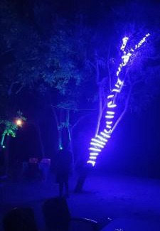 Kamalapur House | Pet-Friendly Retreat at Nirvana Cafe Hampi - Rated 8/10
