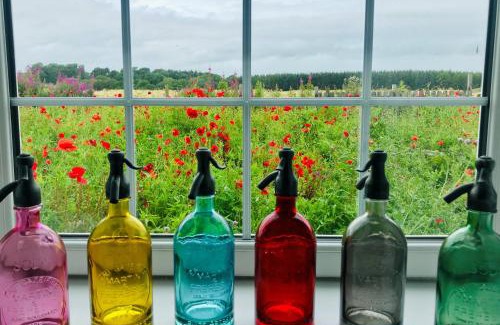 Mauchline House | Exquisite No 1 Ramageton: Oceanfront & Pet Friendly Stay