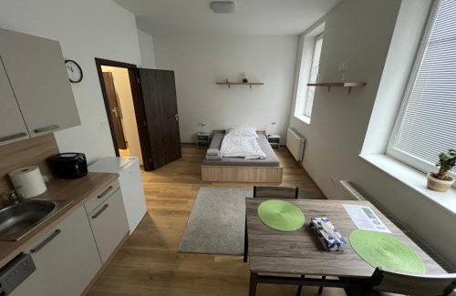 Hradec Kralove Apartment | Discover No. 34: Pet-Friendly Haven with Hot Tub & Breakfast