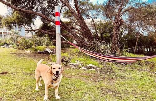 Waterhouse House | Pet-Friendly Retreat at No.34 with Top Guest Ratings