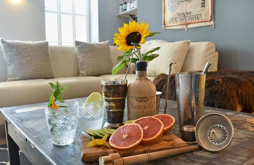 Pentrefelin House | Experience No 5 @ Ginhaus: Pet-Friendly & Guest Rated 10/10