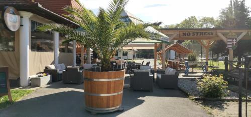 Harkany Bed & Breakfast | Relax at No Stress Panzió with Oceanfront Views