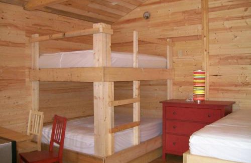 Revelstoke Resort | Discover Noah's Ark Campground: Pet-Friendly Retreat Awaits