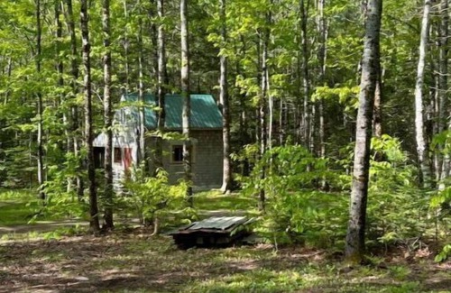 Wiscasset Cabin | Inviting Oak Hill Homestead: Family-Friendly with Kitchen