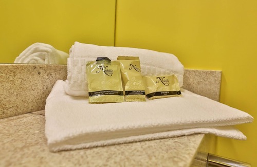 Pampulha Hotel | Discover Nobile Inn Pampulha: Family-Friendly Comfort