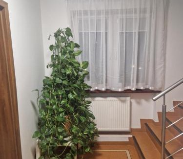 gmina Wisznia Mała House | Budget-Friendly Noclegi Budomas with Free Netflix & Parking