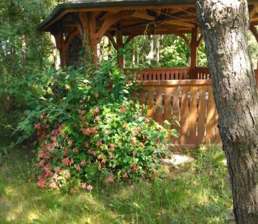 gmina Tuczna House | Cozy Noclegi przy kominku: Pet & Child Friendly Retreat