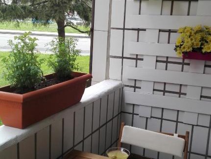 Distrito Oeste Apartment | Oceanfront Retreat: NOEGA PLAYA with Perfect 10 Review