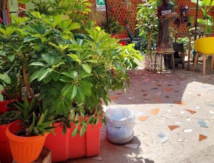 Los Vilos Apartment | Top-Rated Family Hotel Experience at Noface 8