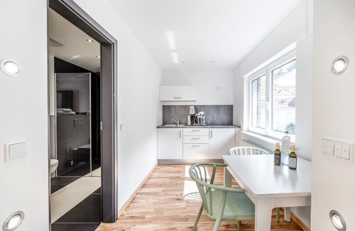Heidelberg Apartment | Comfortable Nomad Serviced-Apartments: Pet-Friendly & Family-Oriented