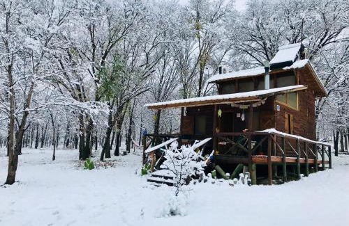 San Antonio de Arredondo Ski Chalet | Rustic Cabin Escape: Pet & Child Friendly Retreat