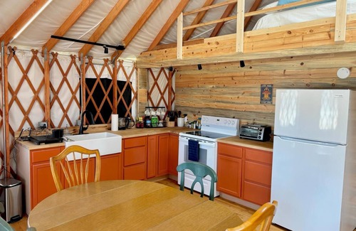 Lewis House | Nomadic Dreams in a Chic Yurt, McElmo Canyon