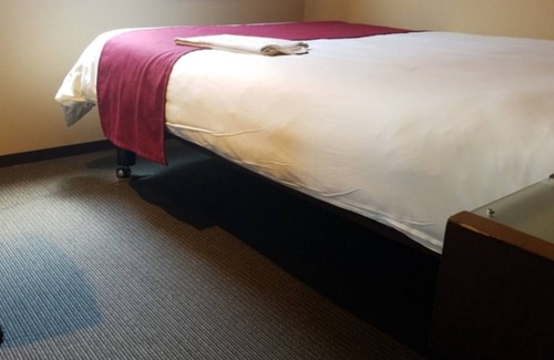 Okazaki Hotel | Comfortable Nonsmoking Room with Free Breakfast in Okazaki