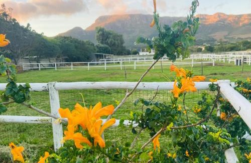 Noordhoek House | Oceanfront Oasis at Noordhoek The Lookout - Guest Rated 9.5