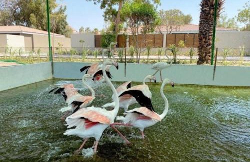 Jannusan Villa | Relax at Nordic Gardens: Family-Friendly with a Pool