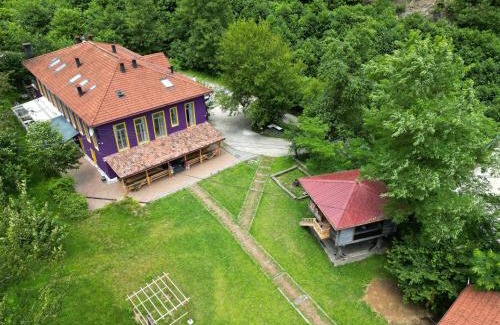 Camlihemsin Hotel | Pet-Friendly Nordic Otel with Family Amenities & Great Reviews