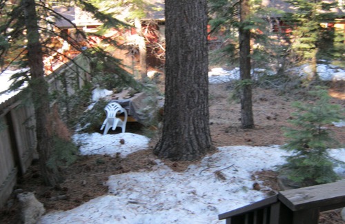 Kings Beach Cabin | North Lake Tahoe Vacation Home - Pet Friendly & Family Ready