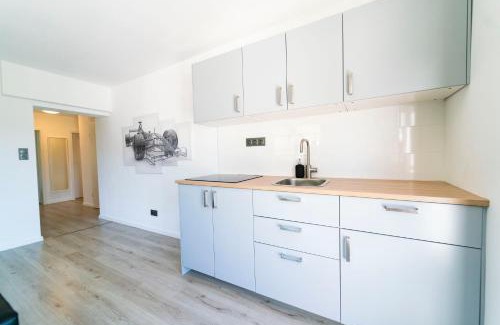 Adenau Apartment | Guest Rated 9.1 - Explore North Loop Rooms Today!