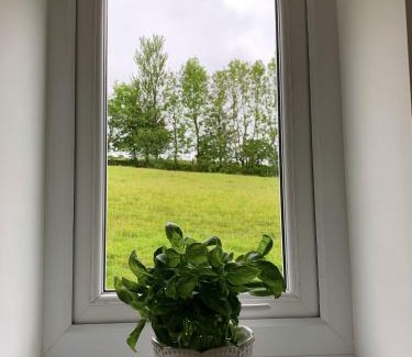 Gilsland Apartment | Delightful North View Cottage by Hadrian's Wall