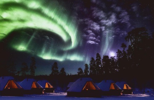 Kittila Resort | Experience Northern Lights Village Levi: Top-Rated & Pet-Friendly