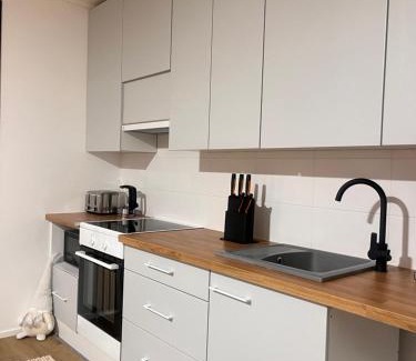 Ivalo Apartment | Northern Star Apartment 4