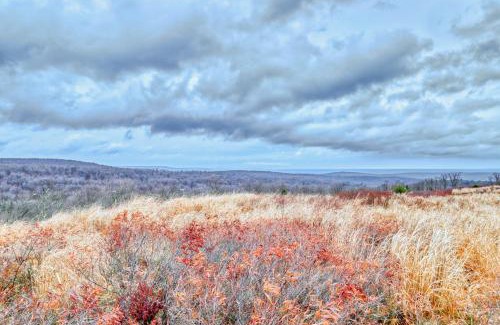 Tannersville House | Family-Friendly Northridge 482 - Rated 9.3/10 by Guests