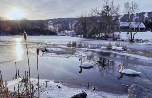 Tannersville House | Family-Friendly Northridge 482 - Rated 9.3/10 by Guests