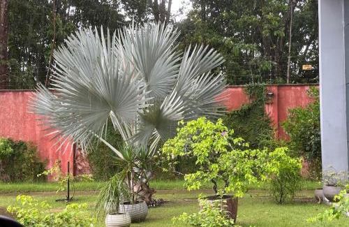 Marituba House | Nosso lar na COP