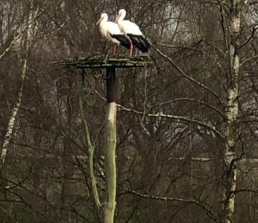 Eexterveenschekanaal House | Experience Nostalgic Stays at Hooimijt - Rated 9.3/10