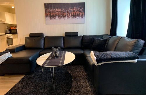 Notodden Apartment | Explore Notodden Sentrum Apartment No 1 - Pet Friendly Stay