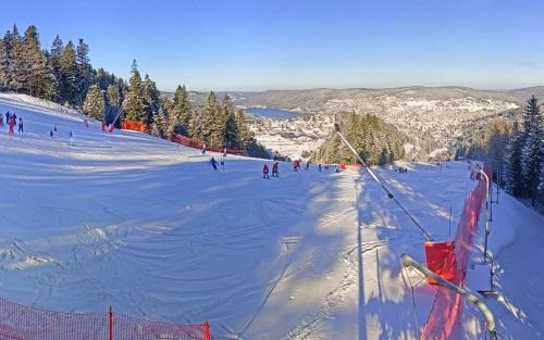 Xonrupt-Longemer Ski Chalet | Inviting Nouveau Chalet M with Sauna, Hot Tub & Pool