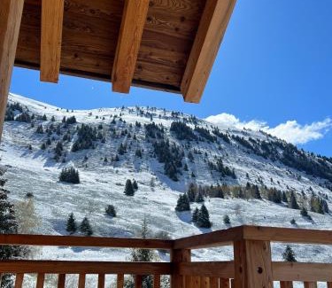 Villard-Reculas Ski Chalet | Nouveauté 2024 Chalet Le Lauzaret Villard-Reculas