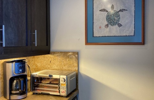 Kihei Condo | Experience the Unique Live ALOHA Suite with Ocean Views