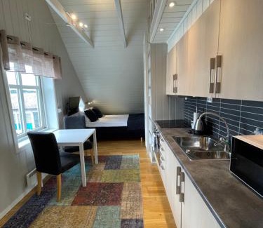 Narvik Apartment | Novatind Studio Apartment: Free Parking & Family-Friendly Stay