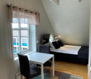 Narvik Apartment | Novatind Studio Apartment: Free Parking & Family-Friendly Stay