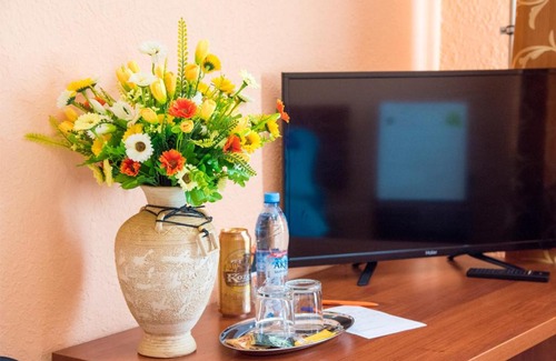 Novovoronezh Hotel | Pet-Friendly Novik Hotel with Breakfast and Great Reviews!