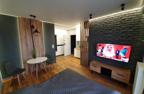 Ilawa Apartment | Modern Iława Apartments with Air Conditioning & Family-Friendly