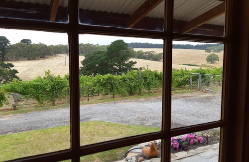 Delamere Cottage | Cozy Nowhere Else Cottage with Oceanfront Spa Retreat