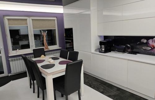 Jastrzebie-Zdroj Apartment | Modern 63m2 Apartment - Pet and Child Friendly Retreat