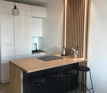 Charzykowy Apartment | Modern Apartment with Lake View and Pet-Friendly Amenities